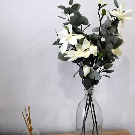 Largo Gaspar Lemos 1d *